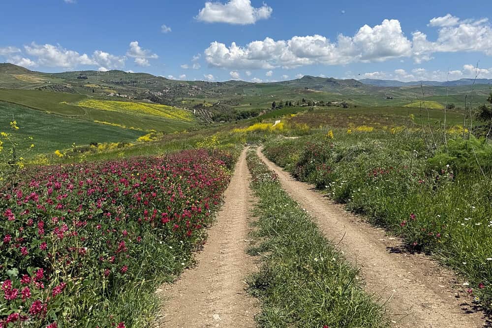 8 Day Sicilian Full Moon Women's Retreat in Sicily, Italy 6