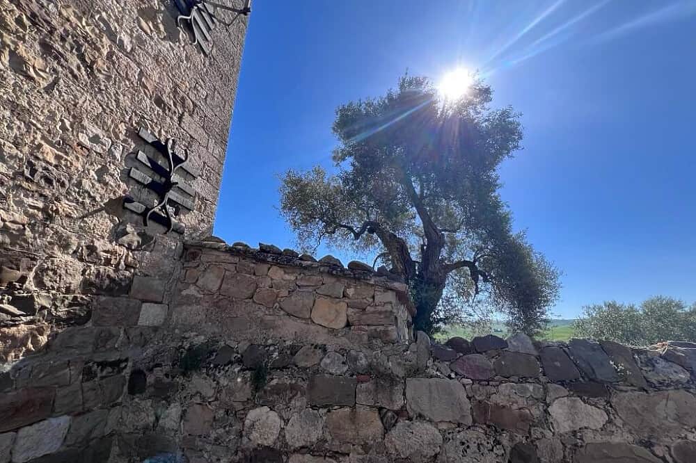 8 Day Sicilian Full Moon Women's Retreat in Sicily, Italy 5