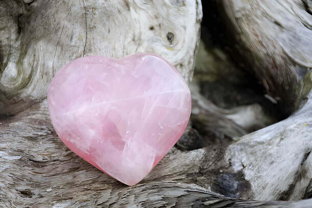 3 Day Reset & Rebalance Private Women's Retreat in Florida, US 2