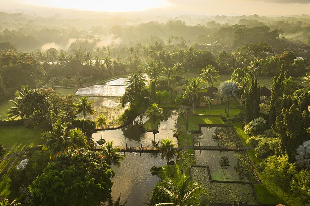 4 Day Freedom & Wellness Retreat in Sacred Ubud, Bali 7