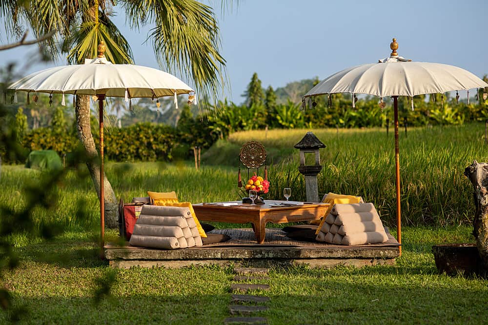 4 Day Freedom & Wellness Retreat in Sacred Ubud, Bali 1