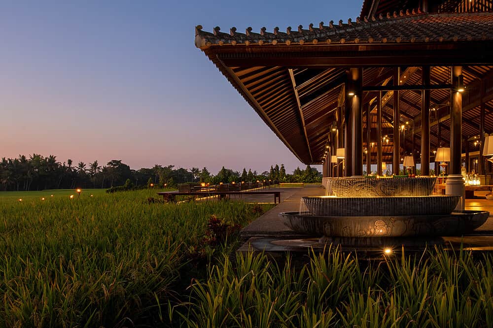 4 Day Freedom & Wellness Retreat in Sacred Ubud, Bali 3