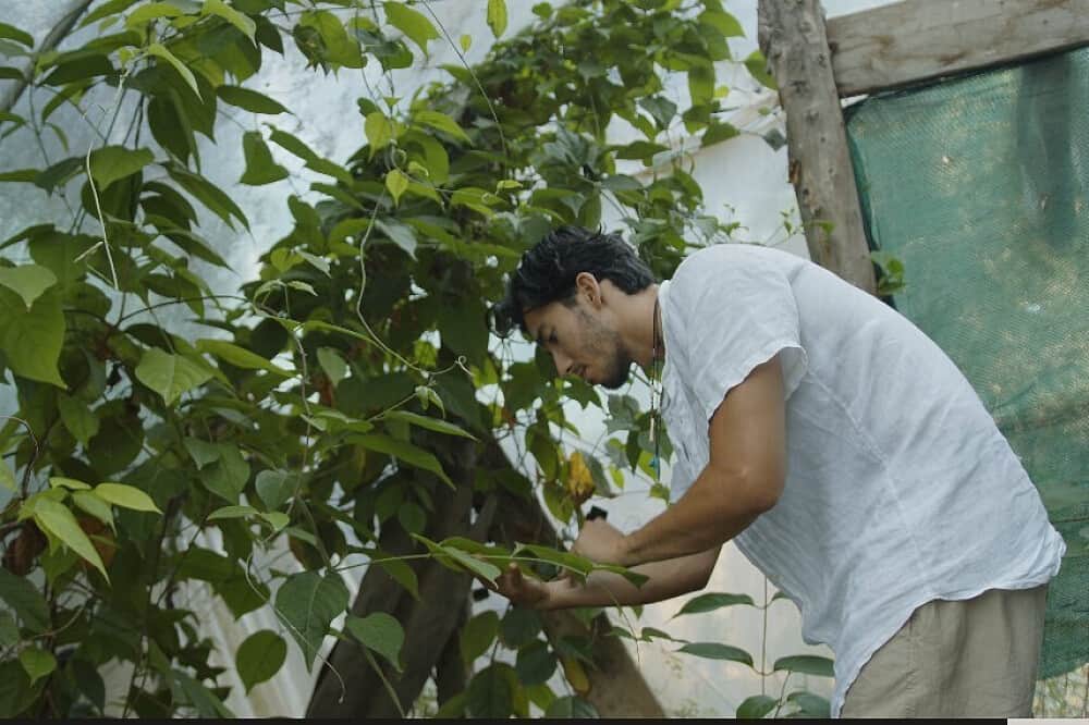 3 Day Ayahuasca Retreat, 1:1 Guidance & Care, Amayama, Spain 6