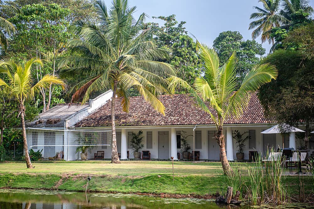 7 Day Island Reset: Yoga & Surf Camp in Ahangama, Sri Lanka 2