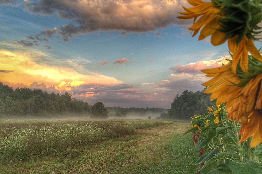 3 Day Silent Meditation Retreat in Catskills, NY, USA 3