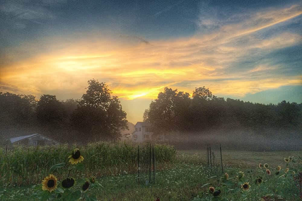 3 Day Silent Meditation Retreat in Catskills, NY, USA 5