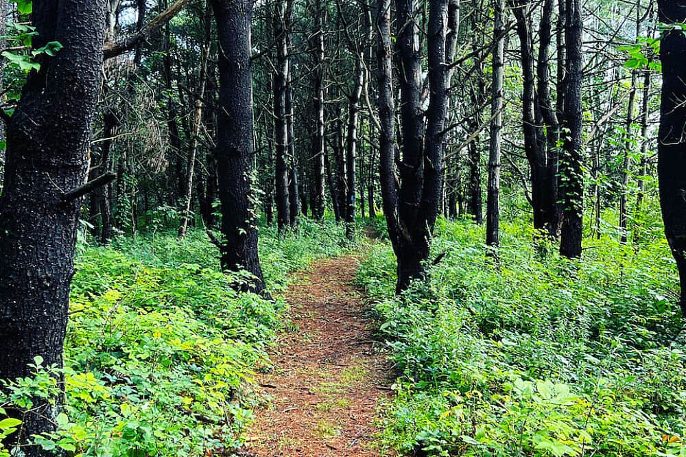 3 Day Silent Meditation Retreat in Catskills, NY, USA 7