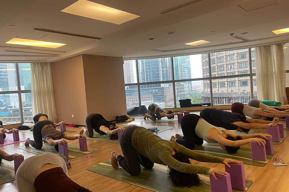 4 Day Himalayan Wellness & Yoga Retreat in Tapovan, India 8