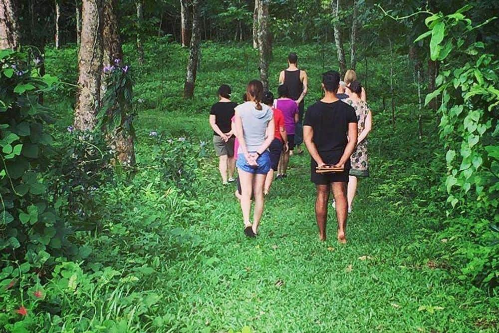 5 Day Cookery, Yoga & Meditation Retreat, Sri Lanka 5