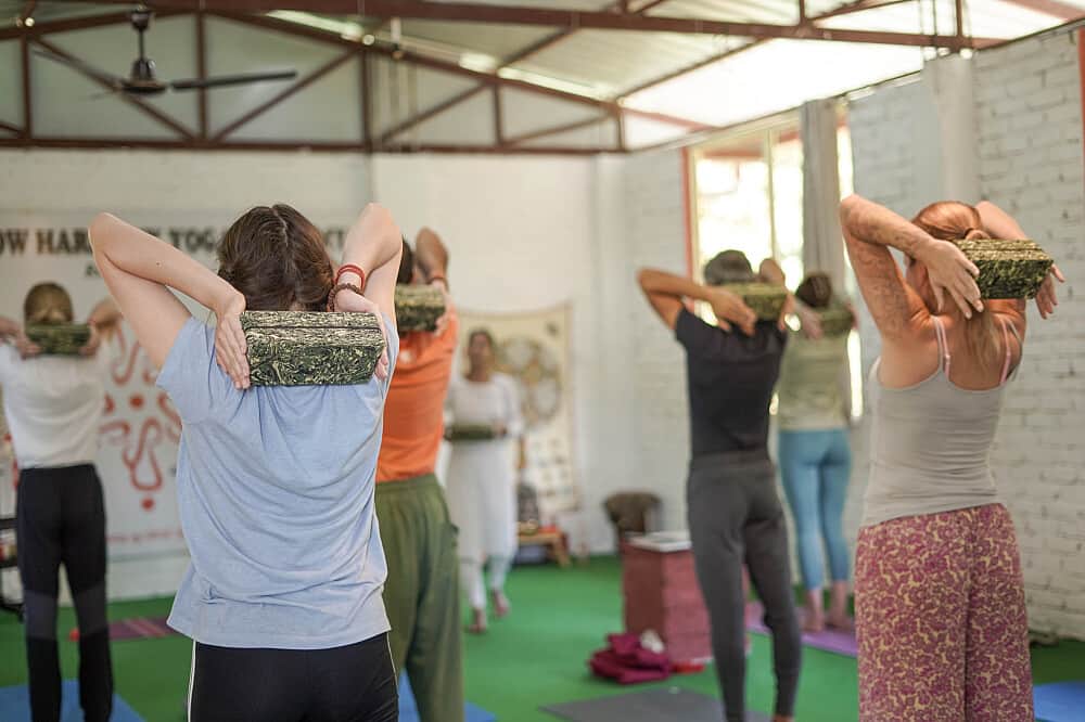 25 Day 200 Hour Multi Style Yoga TTC in Rishikesh, India 3