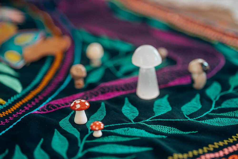 3 Day Women's 'MushWomb" Psilocybin Retreat in the Netherlands 3