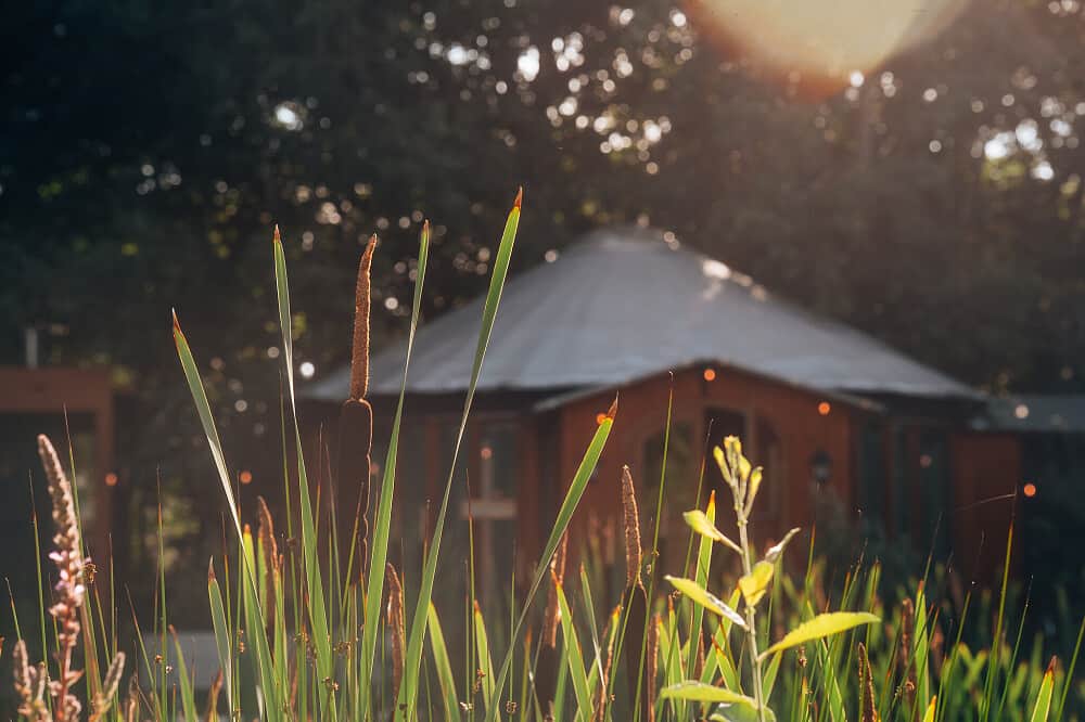 3 Day Women's 'MushWomb" Psilocybin Retreat in the Netherlands 8