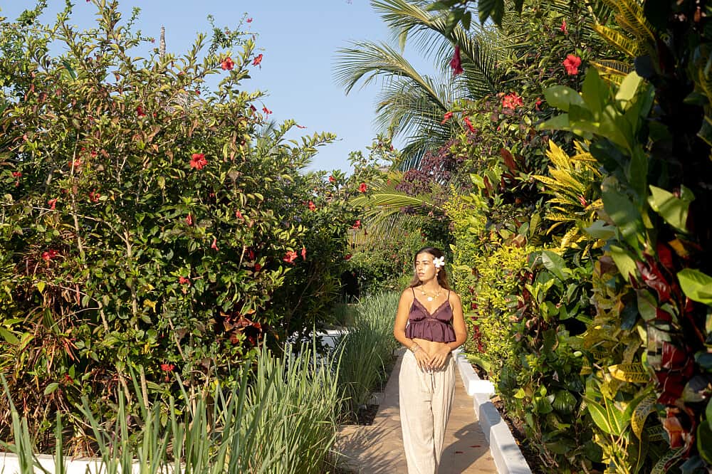 10 Day Deep Reset and Restore Retreat in Zanzibar, Tanzania 4