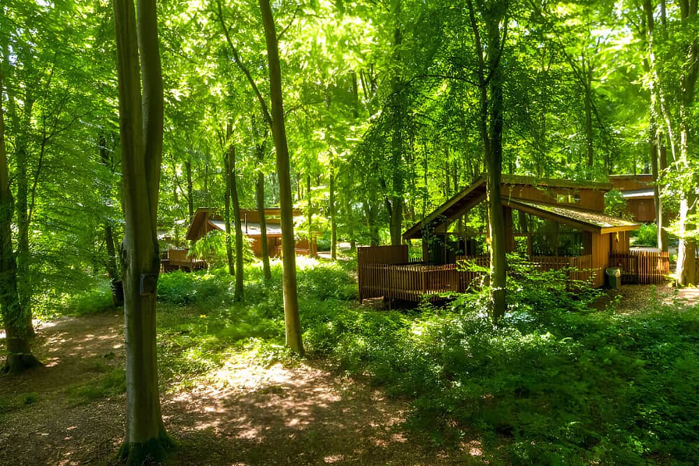 4 Day Nervous System Reset Coaching & Yoga w/Therapist, UK 4