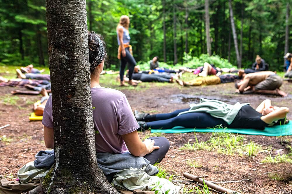 4 Day Nervous System Reset Coaching & Yoga w/Therapist, UK 1