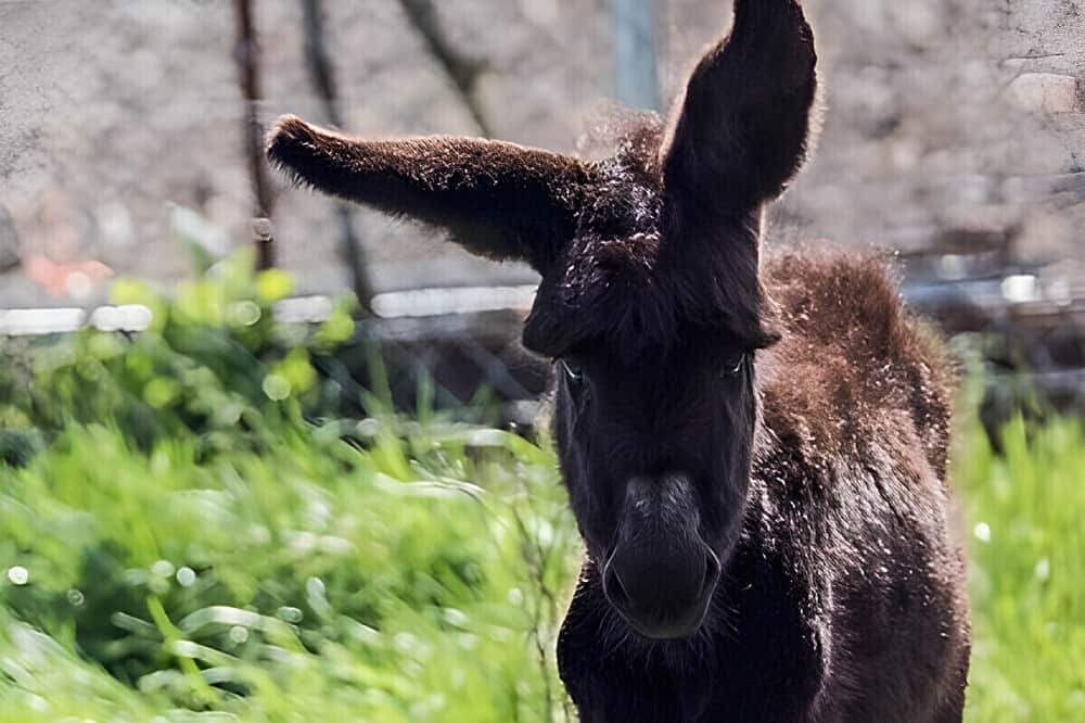 7 Day Somatic Stress Therapy Between Mountain and Seawalk, Spain 4