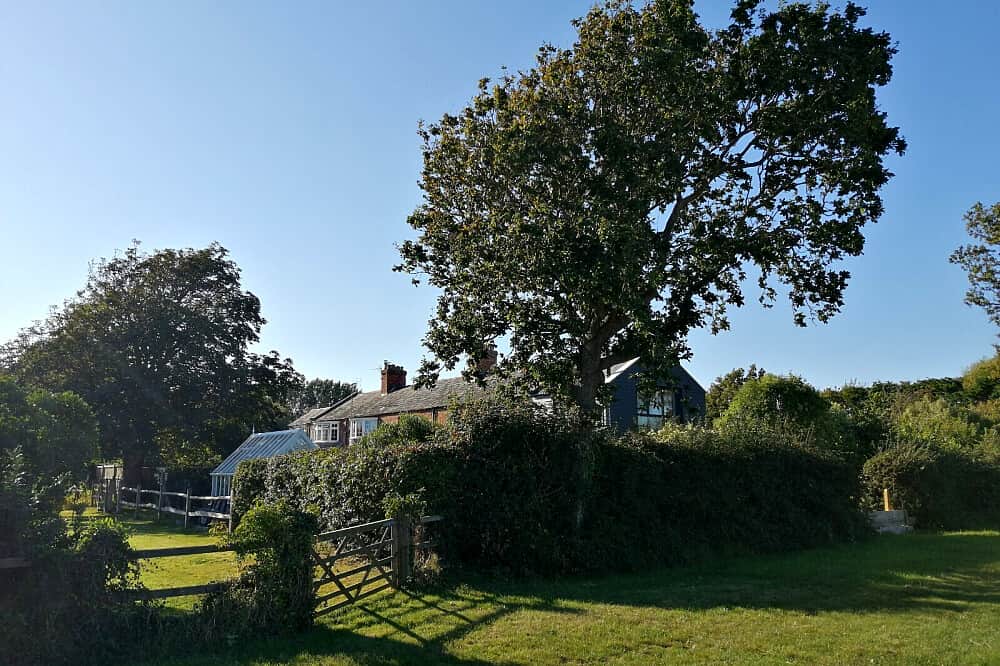 3 Day Private Nervous System Restoration Retreat, UK 2