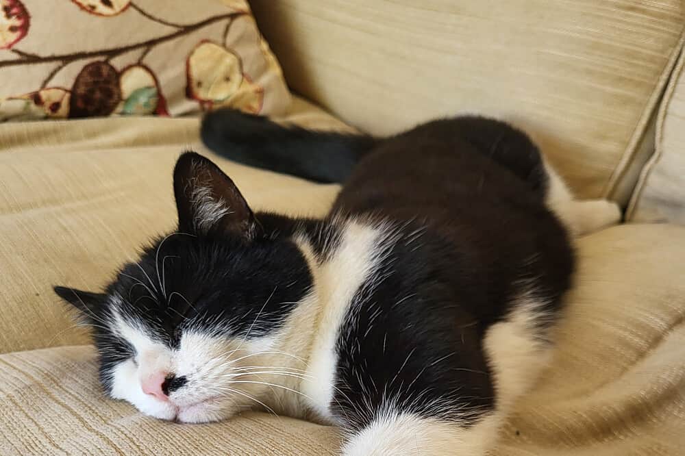 3 Day Private Nervous System Restoration Retreat, UK 6