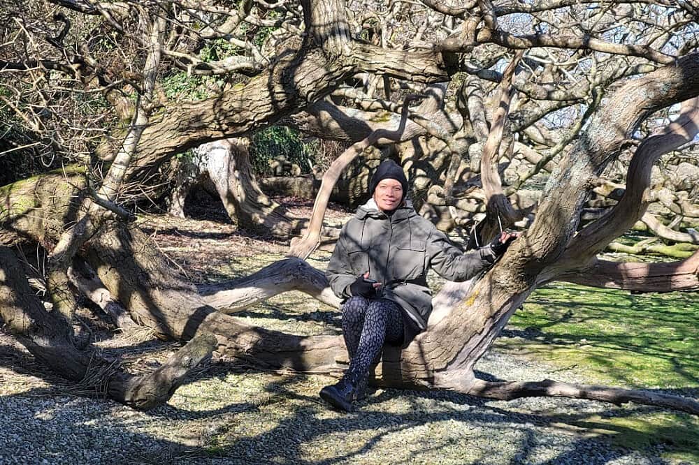 3 Day Private Nervous System Restoration Retreat, UK 3