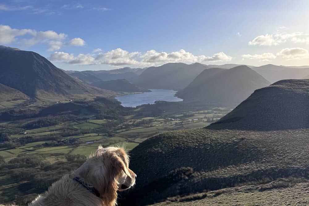 5 Day 1:1 Soul Connection Dog-Friendly Retreat, Lake District UK
