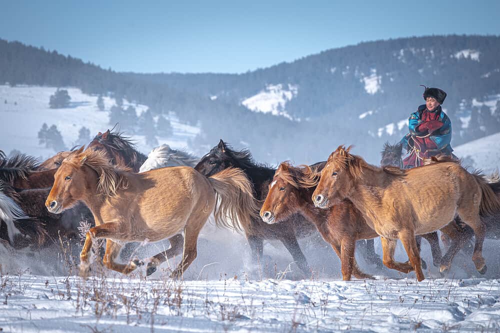 10 Day Nomadic New Year Retreat in Mongolia 5