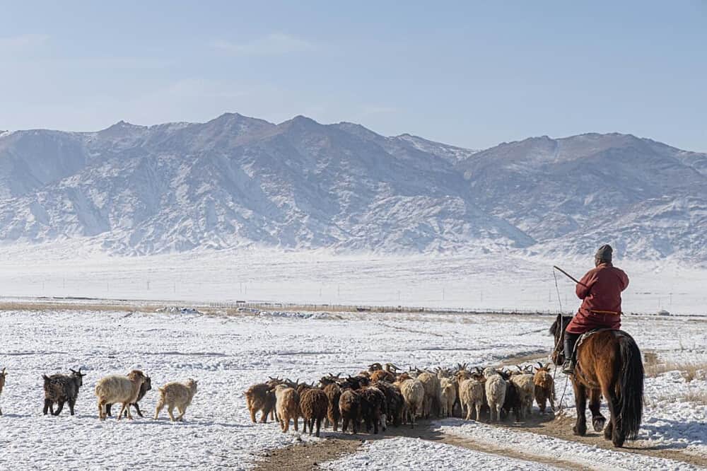 10 Day Nomadic New Year Retreat in Mongolia 7