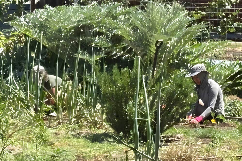 6 Day Reset, Reconnect & Raft: Willow Springs Experience, CA, USA 3