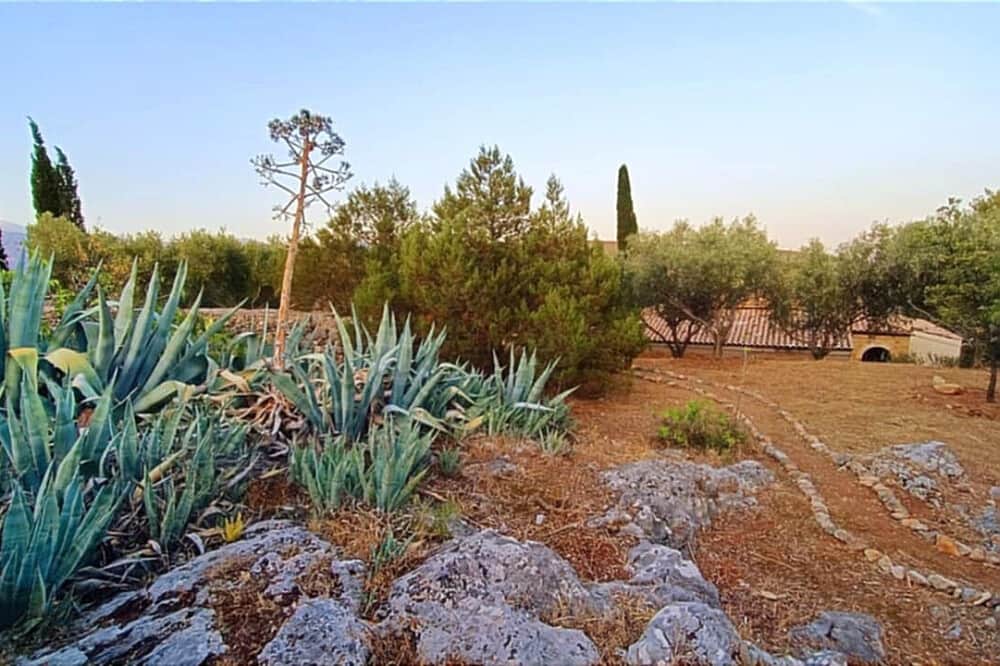 5 Day Intuitive Arts & Archetypes: Soul’s Journey in Greece 8