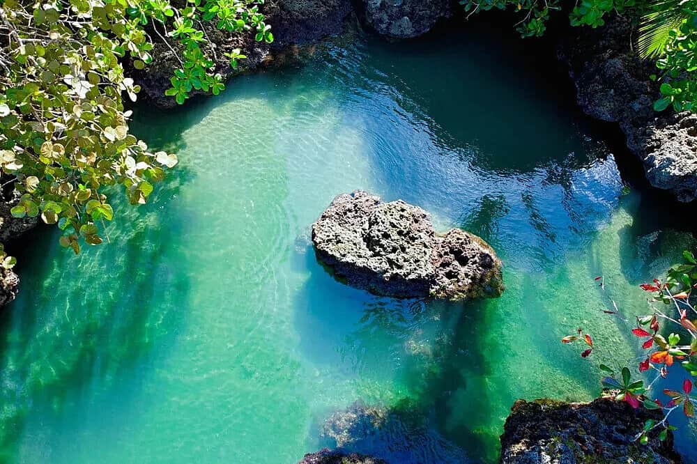 8 Day Rooted and Grounded Woman's Retreat in Costa Rica 5