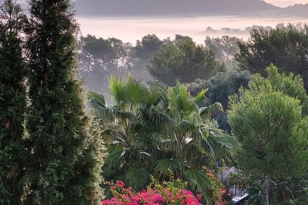 8 Day Radiate Bliss: Women’s Summer Sanctuary in Mallorca, Spain 6