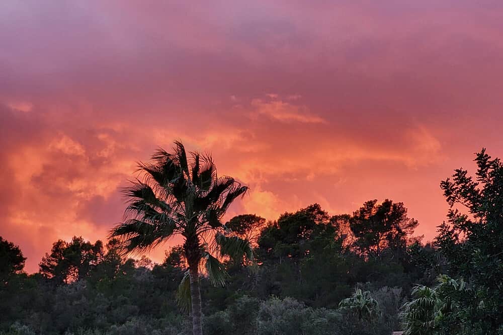 8 Day Radiate Bliss: Women’s Summer Sanctuary in Mallorca, Spain 5