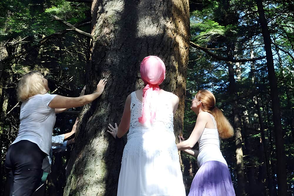 4 Day Silent Retreat in Upstate NY, US 6