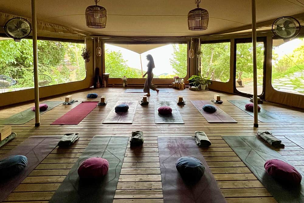 8 Day Immersive Autumn Yoga and Movement Retreat in Greece 4