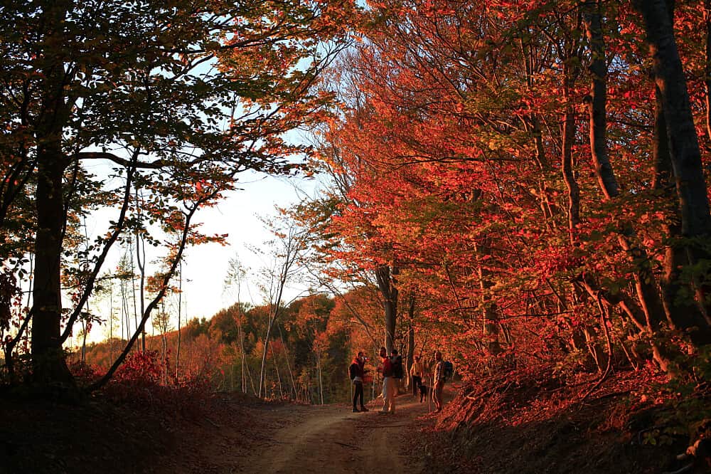 8 Day Immersive Autumn Yoga and Movement Retreat in Greece 1