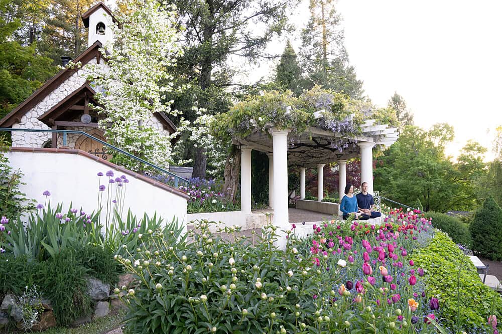 3 Day Retreat: A Magical Tulip Experience in Northern CA, USA 8