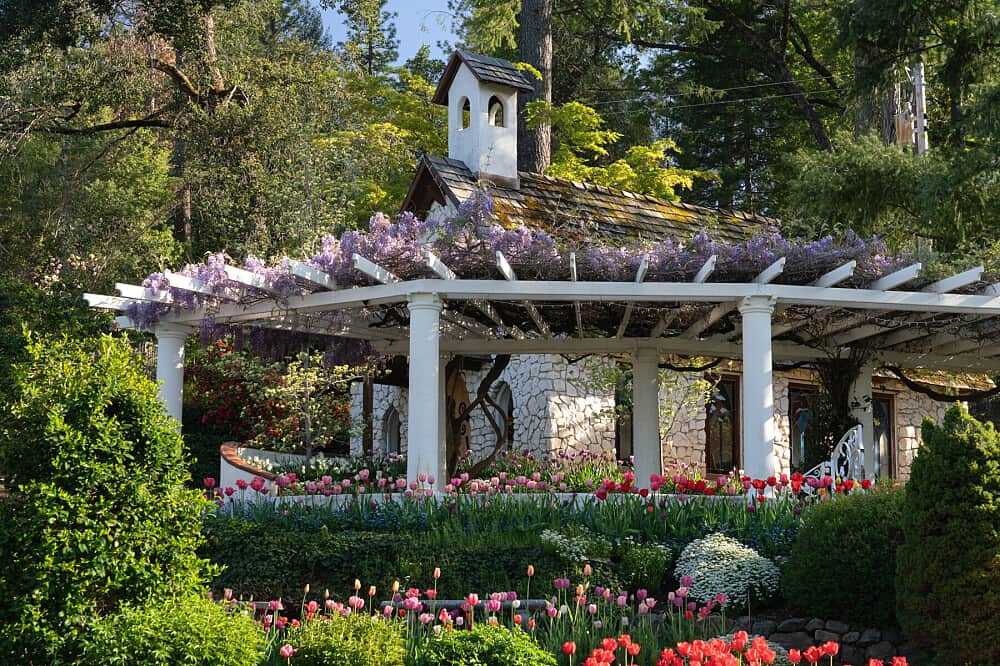 3 Day Retreat: A Magical Tulip Experience in Northern CA, USA 7