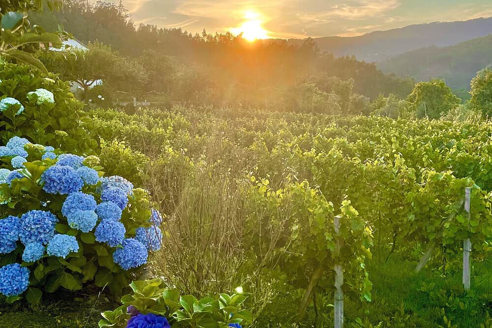 3 Day Detox To Reboot Your Nervous System, Fully Relax, Portugal 2