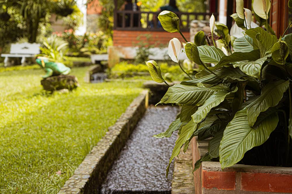 3 Day Transformational Retreat w/ Psilocybin in Colombia 6