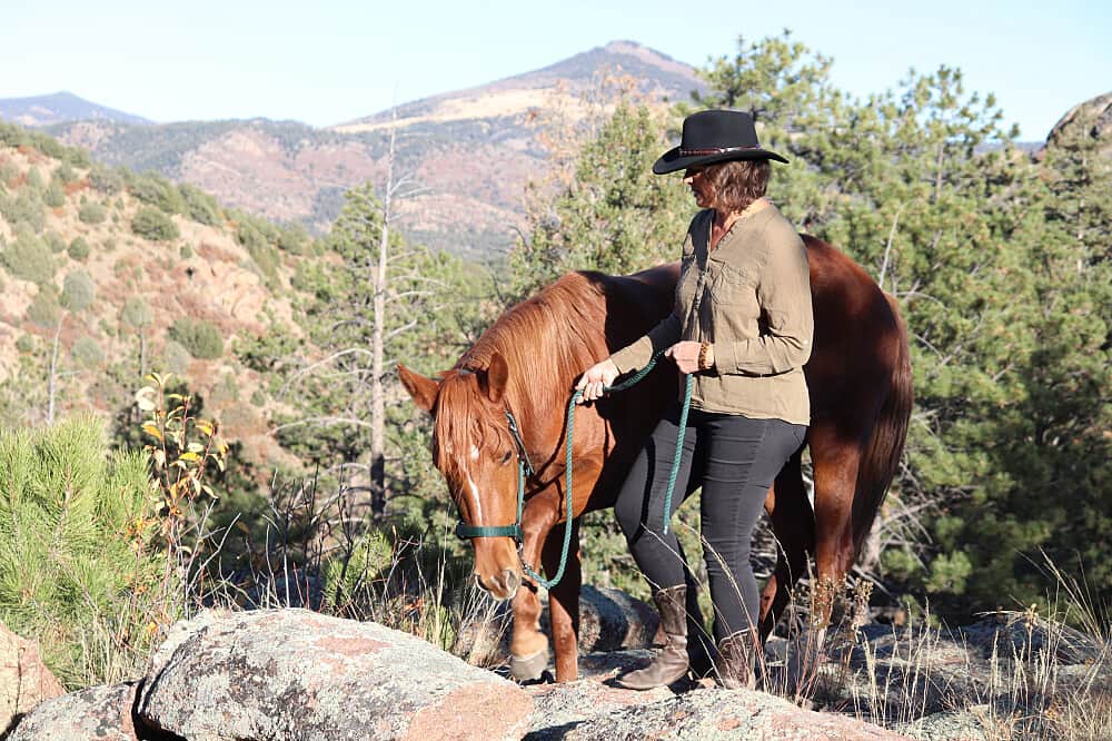 4 Day Women’s Equine-Assisted Clarity w/ Mustangs in CO, US 4