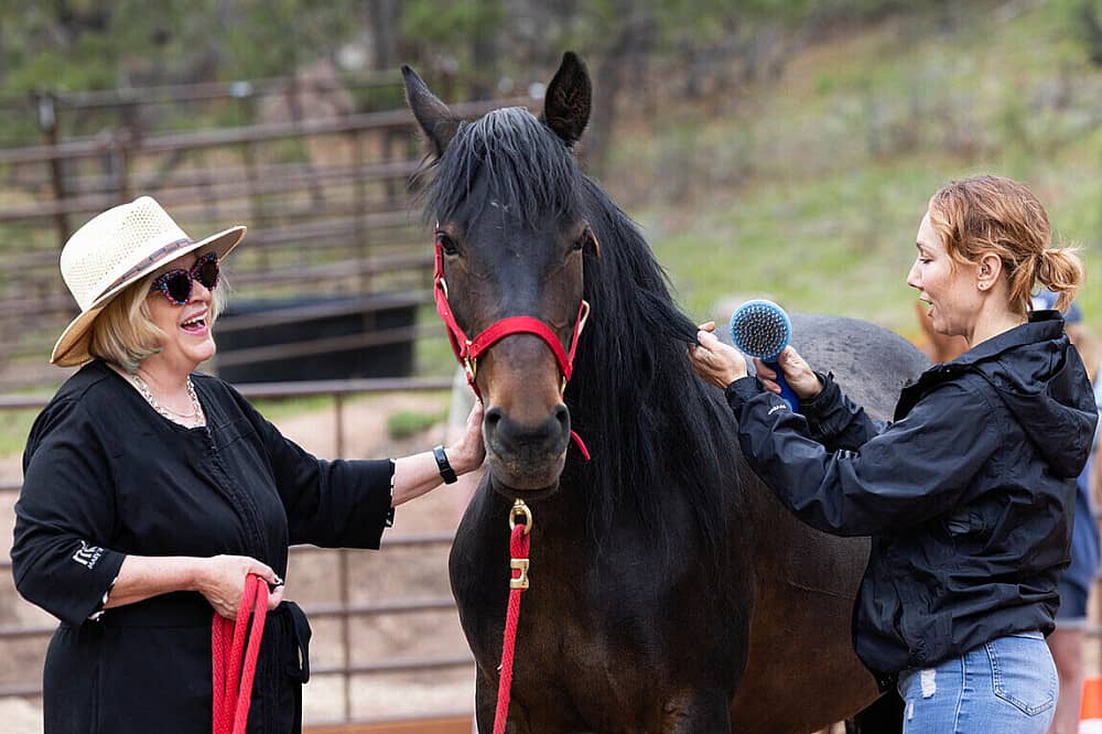4 Day Women’s Equine-Assisted Clarity w/ Mustangs in CO, US