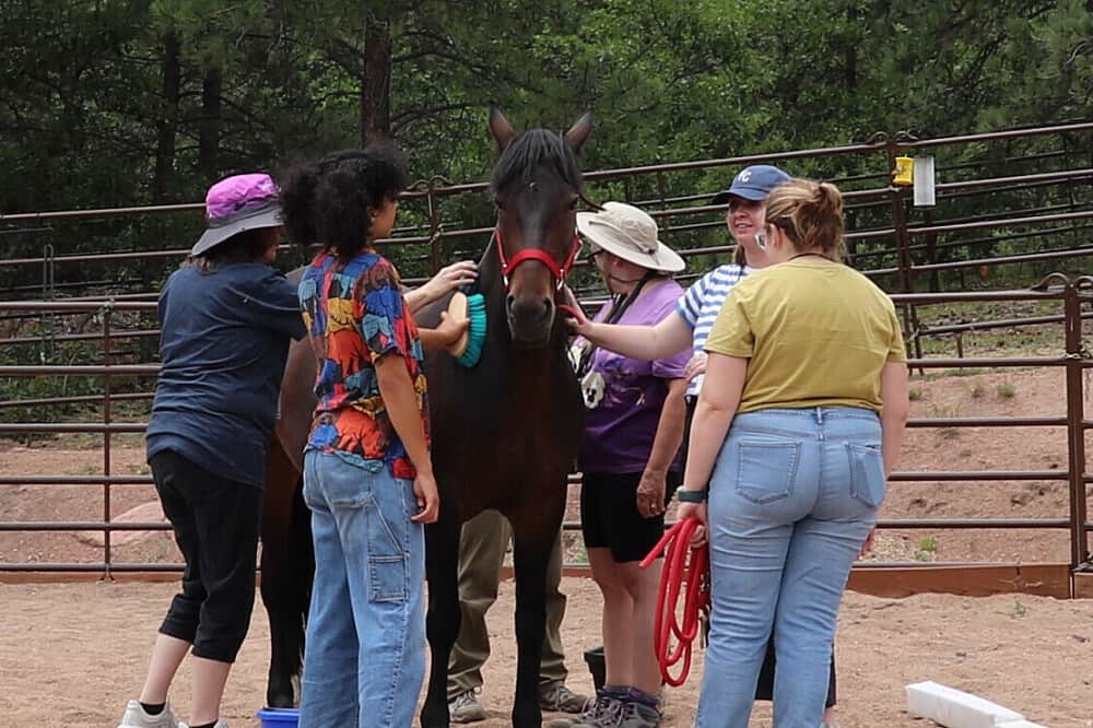 4 Day Women’s Equine-Assisted Clarity w/ Mustangs in CO, US 2