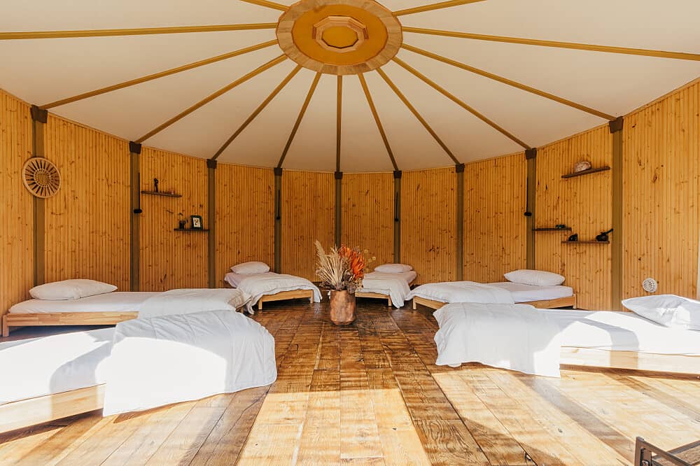 3 Day Advanced Psilocybin Retreat In The Netherlands