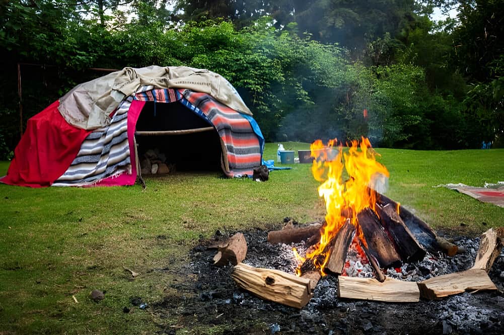 3 Day Advanced Psilocybin Retreat In The Netherlands 2