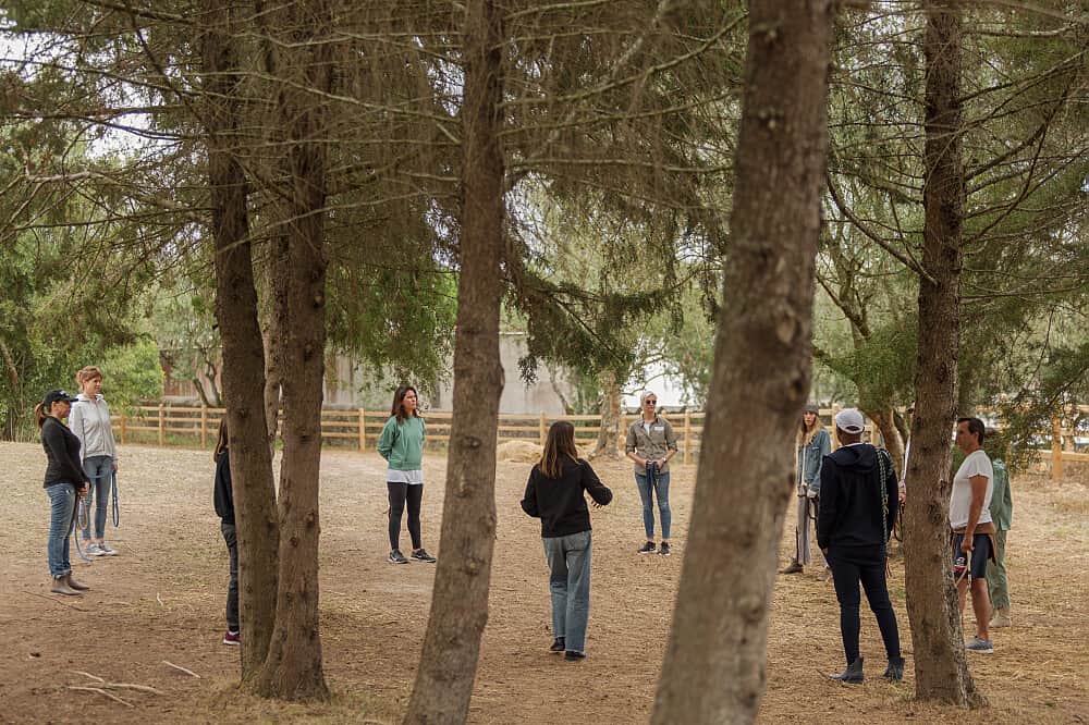2 Day Equine-Guided Embodiment Retreat in Sintra, Portugal 2