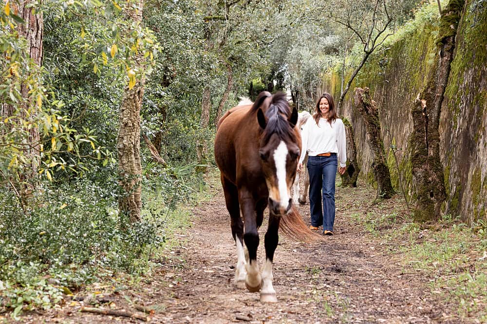 2 Day Equine-Guided Embodiment Retreat in Sintra, Portugal 6