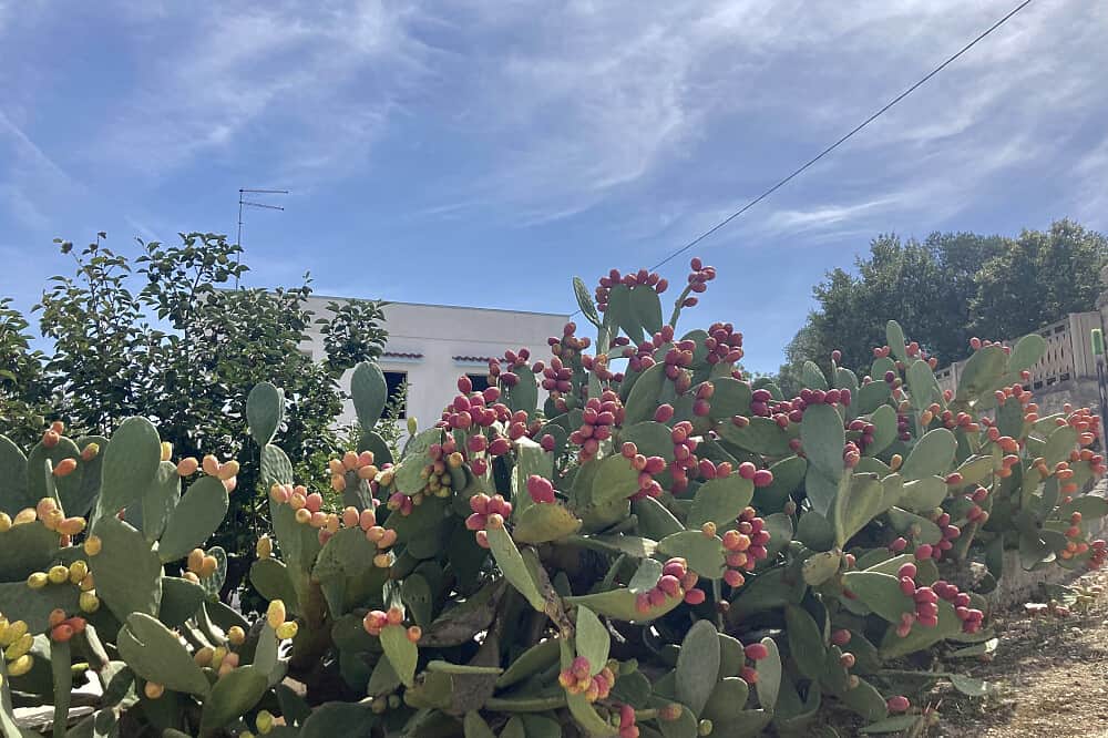 4 Day Slow Living Retreat: Deep Rest, Nature & Renewal, Italy 5