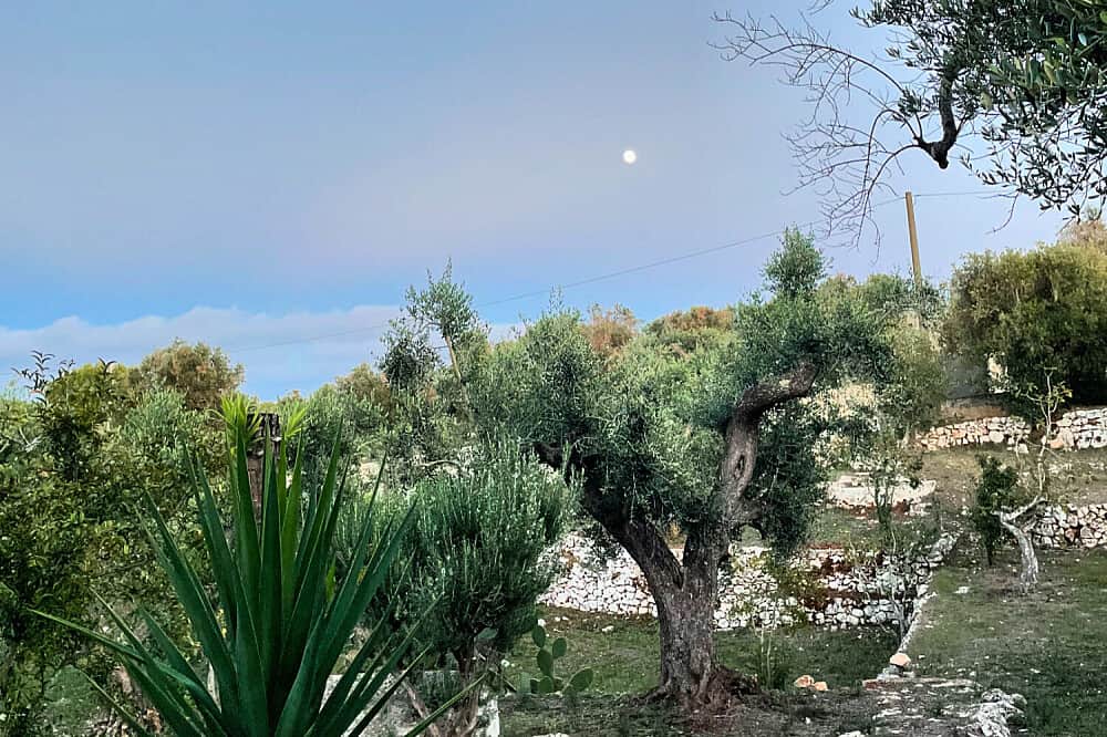 4 Day Slow Living Retreat: Deep Rest, Nature & Renewal, Italy 3