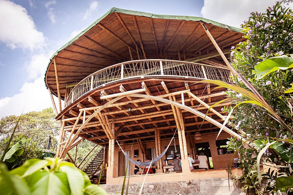 10 Day Private Group Plant Medicine & Somatic Journey in Colombia 7