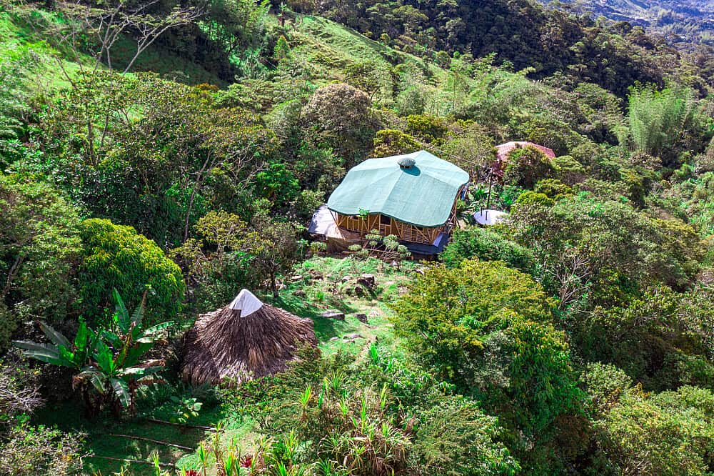 10 Day Private Group Plant Medicine & Somatic Journey in Colombia 8