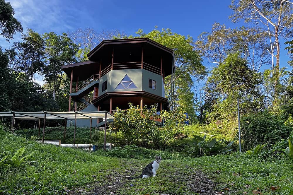 7 Day Trauma Transmutation & Transformation in Costa Rica 4